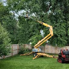 Best Hazardous Tree Removal  in Maricopa, AZ